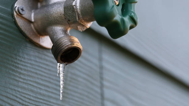 Professional Plumbing in Avenue B And C, AZ